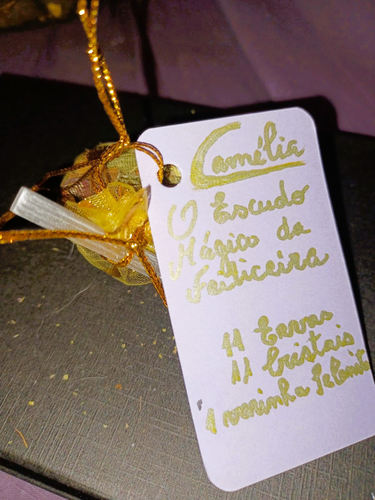 O Escudo Mágico da Feiticeira | Amuleto de Proteção e Abertura de Caminhos